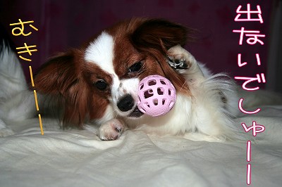 出ないでしゅーー!