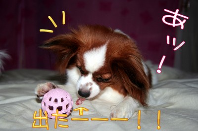 あ!おやつが、出たーーー!