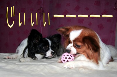 じぃぃぃぃーーーーー!