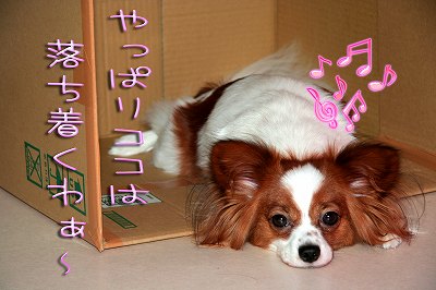 やっぱりココは、落ち着くわ～