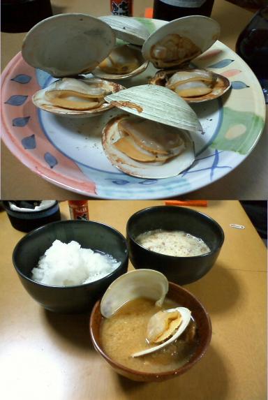 ホンビノス貝その2