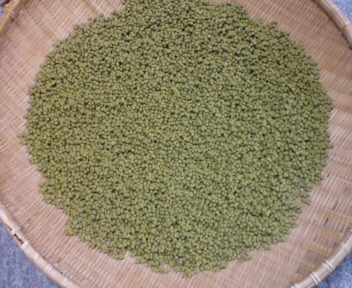 実山椒.JPG