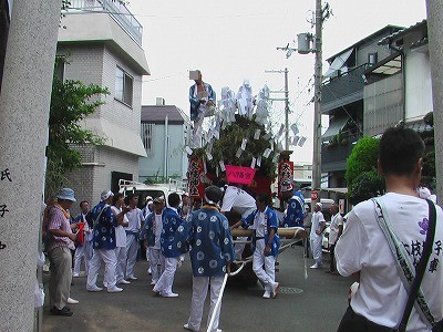 IMGA0971-1.jpg