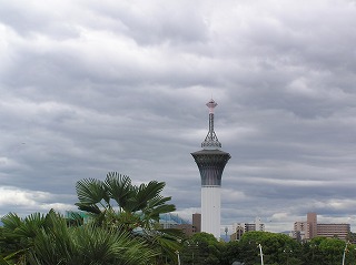 P1010005.jpg