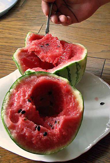 IMG_0003.gif