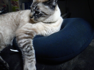 2010-12-13 15:41:45