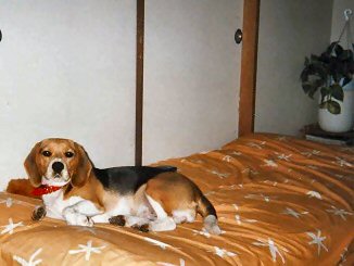 img006 - コピー.jpg