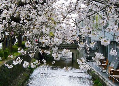 京都高瀬川.jpg