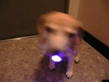 004.JPG