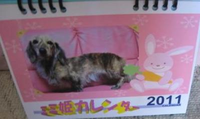 ミミ姫カレンダー
