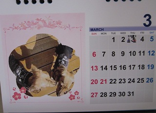 ３月のシュナさんカレンダー