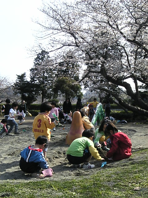 ohanami 003.jpg