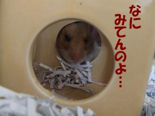 あ。起きちゃった。.JPG