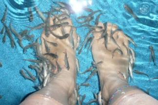 スパーガーデン 005.jpg