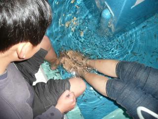 スパーガーデン 008.jpg