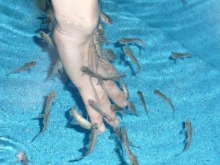 スパーガーデン 011.jpg