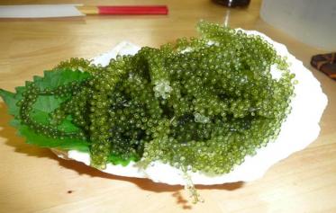 ちゅらかーぎ 003.jpg