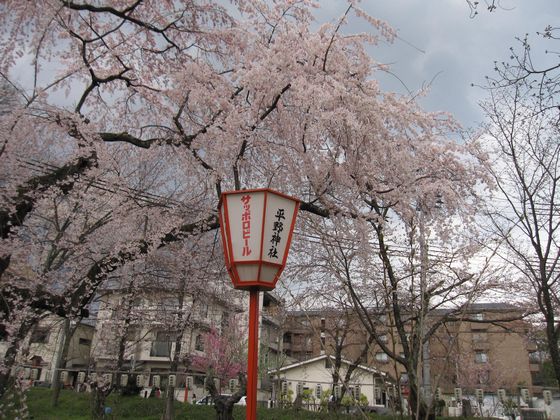 20100328 平野神社灯籠