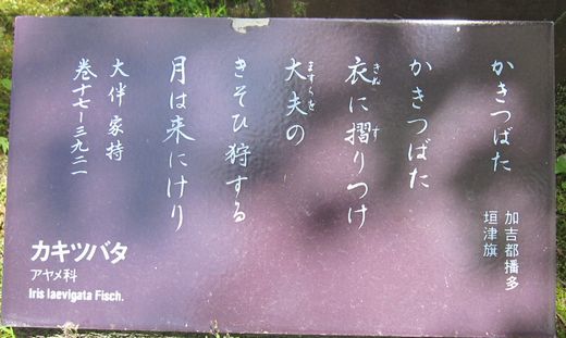 かきつばた 句碑