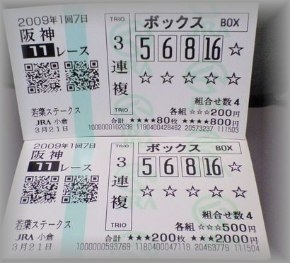 20090321　阪神11Ｒb