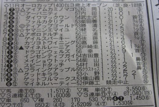 20091115　東京11R　結果