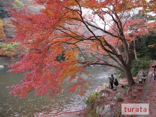 保津川渓谷 もみじ
