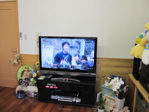 大画面ﾃﾚﾋﾞ