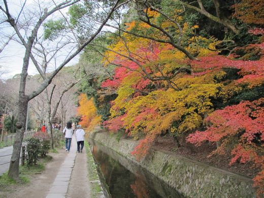 20111201 哲学の道