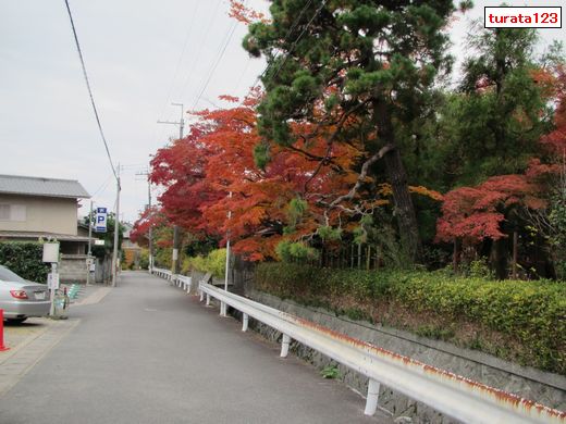 20111201 哲学の道　バス停そば