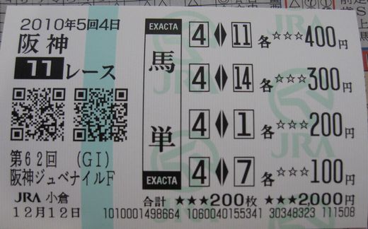 20101212 阪神11R