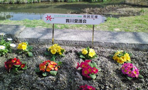 貫川　花壇