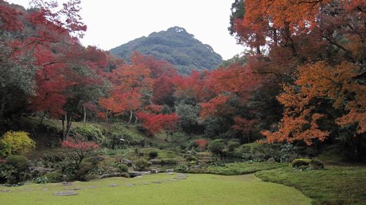 本坊庭園の紅葉