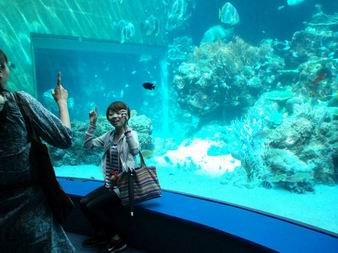美ら海水族館2