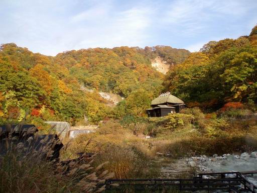黒湯の紅葉