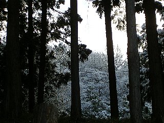 京都も雪景色２
