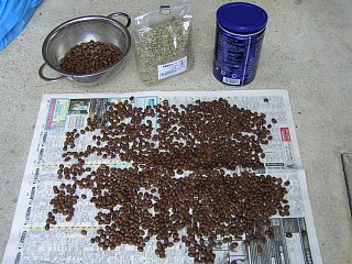 コーヒーの自家焙煎