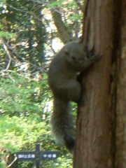 DSCN1888.JPG