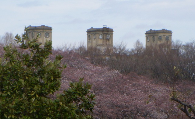 DSCN1616.JPG