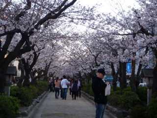 DSCN3361.JPG