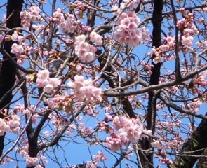 DSCN1473.JPG