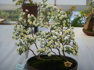 DSCN3102.JPG