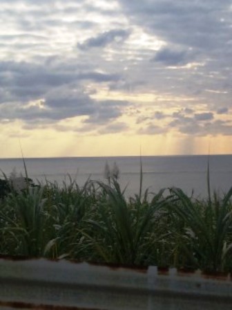 桜まつり2012 003.JPG