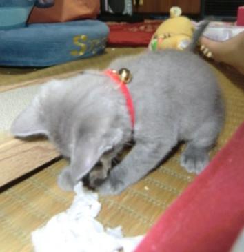 ライフ ミュージックスタート