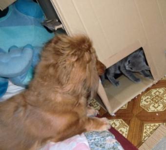 ライフ&クッキー