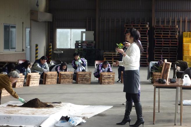 ５農協寄せ植え.jpg