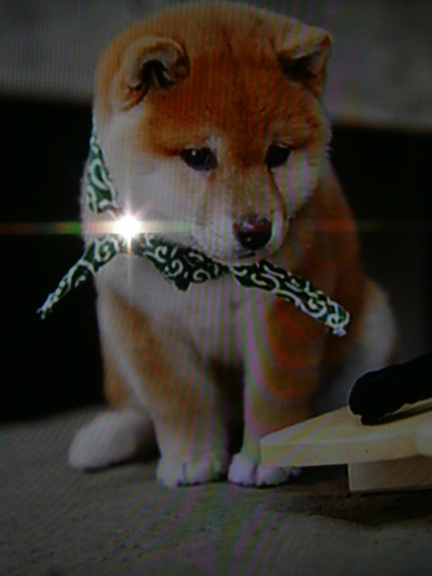 DSCF0045.JPG