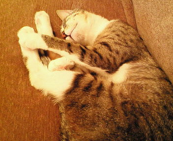 携帯保存分 009.jpg