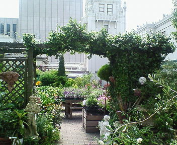 携帯保存分 005.jpg