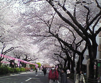 ０７．１２京都 004.jpg