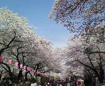 ０７．１２京都 010.jpg